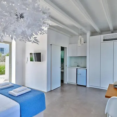 La Vitalite Luxury In Paros Villa Angairia